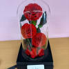 Roses that last up to 3 years 
