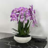 A high quality six pink orchids arrangement with a vase 16.5&quot; D
