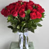 Premium Roses &ndash; the lightness of colors in the guise of pure