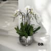 A high quality eight white orchids arrangement with a vase 12&quot; D