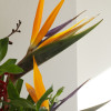 &quot;The Mother Gaston&quot; is our luxe modern arrangement created in a ceramic