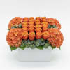 An exquisite modern composition showcased in a grand square ceramic vessel. A