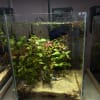 Transform your, or a loved ones workspace into a peaceful oasis! A