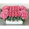 A striking modern design arranged in a low, oversized square ceramic container.