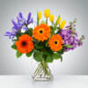 Featuring daisies, tulips, iris, and stock this petite arrangement is a fun