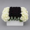 An exquisite modern composition showcased in a grand square ceramic vessel. A