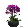 A high quality nine purple orchids arrangement with a vase 15&quot; D