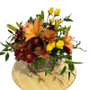 5x5 wooden box filled with fall colored blooms. Daisy Pom, Asiatic Lilies