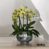 A high quality ten yellow orchids arrangement with a vase 12&quot; D