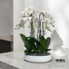 A high quality ten white orchids arrangement with a vase 15.5&quot; D