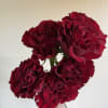 Unique roses with heart-shaped petals, perfect for love-filled, unforgettable designs.