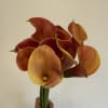 Sleek, trumpet-shaped blooms in warm orange hues, adding elegance and bold color.
