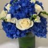 Beautiful arrangement, made with the finest Blue Dutch Hydrangea and White Roses