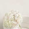 Soft and graceful, Ivory brings a calm, dreamy feel with its white