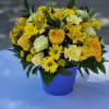 This monochromatic arrangement is to brighten anyones day,  or room.Vase may