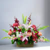 Recipe: Seasonal Dahlias, Burgendy Orchids, Stargazers, Orange/Pink Roses, Pink Snapdragons, Red Spray