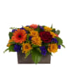 Perfect for your table, a fall mix consisting of mums, roses, and