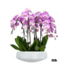 A high quality twelve pink orchids arrangement with a vase 20&quot; D