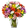Send your warmest thoughts to someone special with a full bouquet of
