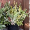 All the rage, porch pots are showing up all over. Have one