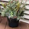All the rage, porch pots are showing up all over. Have one