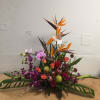 Tropical arrangement