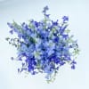Blue Grotto is a combination or Light Blue and Dark Blue Delphinium