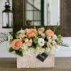 Introducing Chantilly, the whimsical wonder that will make your heart sing with