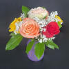 Send a beautiful bottle of berry-colored roses with our Berry Bliss Roses