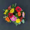 An instant brightener, send somebody a bowl full of Gerbera Daisies. To