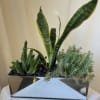 A beautiful mirror vase with 3 succulents planted in them. This is
