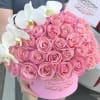50 Pink Roses with a premium orchid stem