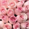 Discover premium flowers from L&rsquo;amour Toujours Flower Boutique&mdash;luxury flowers designed to make