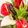 Approx. size: 8&quot; High x 8&quot; Wide

For this special time of the