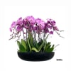 A high quality thirteen pink orchids arrangement with a vase 20&quot; D