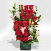 Stargazer and Roses city style make with 24 Roses and 4 Stargazer