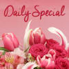 Looking for a unique GIFT surprise? Our florist&#039;s Choice offers a delightful