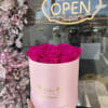 Pink preserved forever roses nestled in a light pink Bo&icirc;te box. 