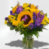 Yellow colors and purple