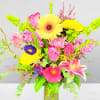 Sunshine and Stardust
A dazzling celebration of color and joy, this arrangement shines
