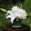 Soothing creamy and white blooms arranged in a compact fashion in a