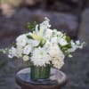 Soothing creamy and white blooms arranged in a compact fashion in a