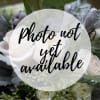 Soothing creamy and white blooms arranged in a compact fashion in a