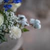 Delicate puffs of pink or blue cotton branches surround a fresh floral