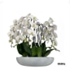 A high quality fourteen white orchids arrangement with a vase 20&quot; D
