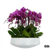A high quality fifteen purple orchids arrangement with a vase 20&quot; D