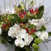 CYLINDRICAL VASE WITH JAPANESE GLORIOSA, WHITE PHALAENOPSIS ORCHIDS, VIBURNUM, THAI LEAF, AND