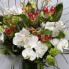 CYLINDRICAL VASE WITH JAPANESE GLORIOSA, WHITE PHALAENOPSIS ORCHIDS, VIBURNUM, THAI LEAF, AND