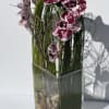 Elegant display of cut stem white orchid phalaenopsis captured by Australian flexi