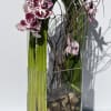Elegant display of cut stem white orchid phalaenopsis captured by Australian flexi